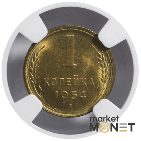 Монета 1 копійка 1954 СРСР в слабі MS 65