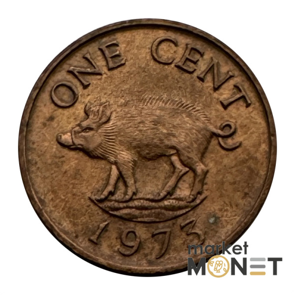 Монета 1 цент 1973 Бермудські Острови Королева Єлизавета II (4.16)