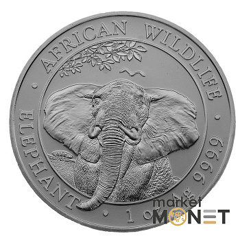 Срібна монета 100 Шилінгів 2021 Сомалі 999 1 Oz Слон