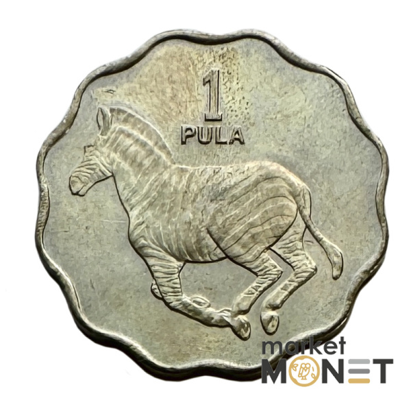 Монета 1 пула 1976 Ботсвана (2)