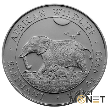 Срібна монета 100 Шилінгів 2022 Сомалі 999 1 Oz Слон