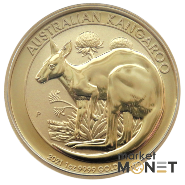 Золота монета 1oz Кенгуру 100 доларів 2021 Австралія Золота монета 1oz Кенгуру 100 доларів 2021 Австралія
